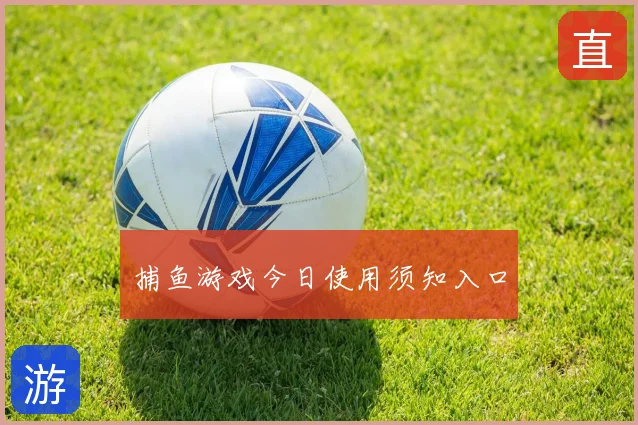 捕鱼游戏今日使用须知入口